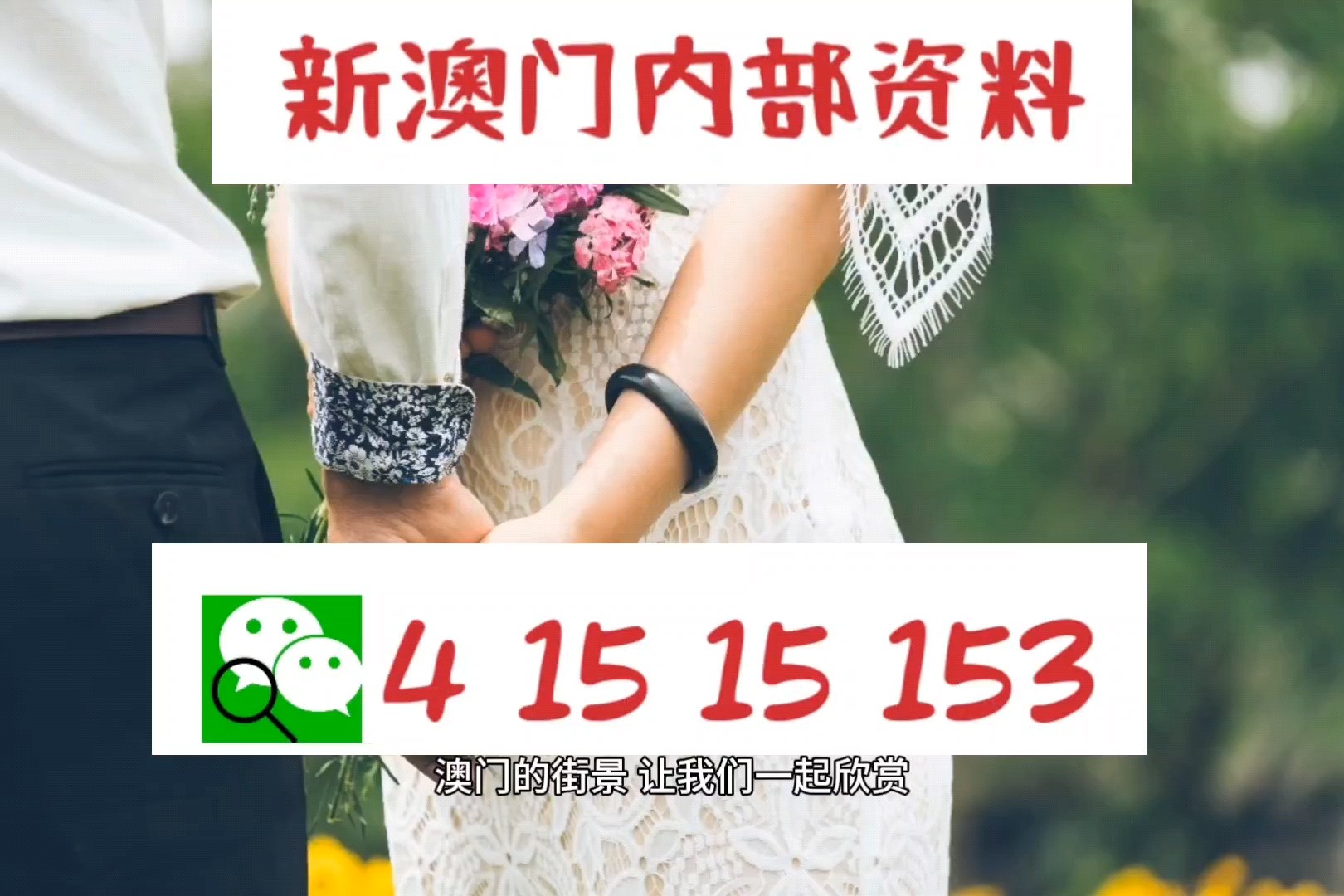 新澳2025精准正版图库和4949澳门精准免费大全凤凰网,全面释义、解释与落实与警惕虚假宣传